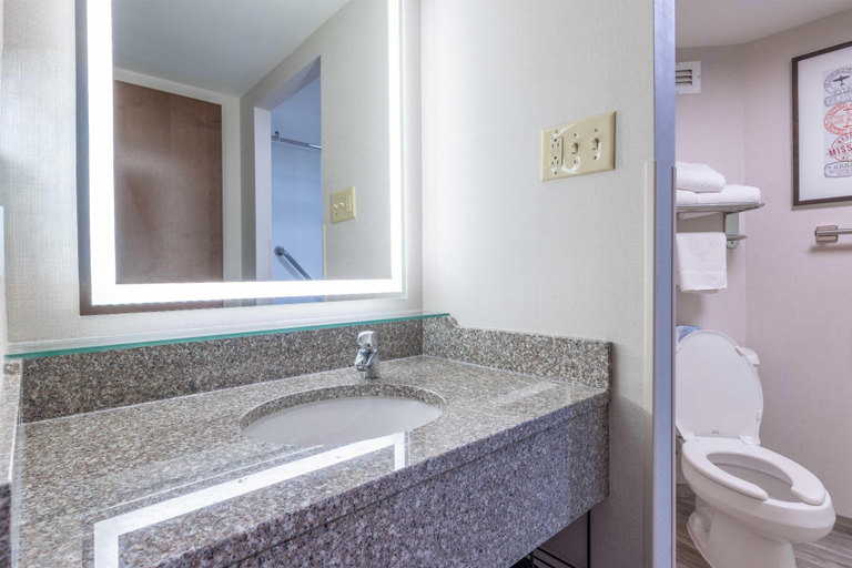 Bathroom 4, Drury Inn & Suites St. Louis Airport, Saint Louis