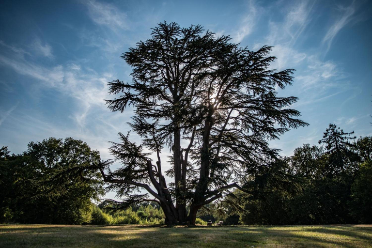 Others 4, Chateau de piolant, Vienne