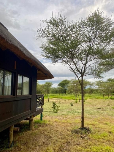 Property grounds 2, Chobe Lesoma Chalets Hotel, Chobe