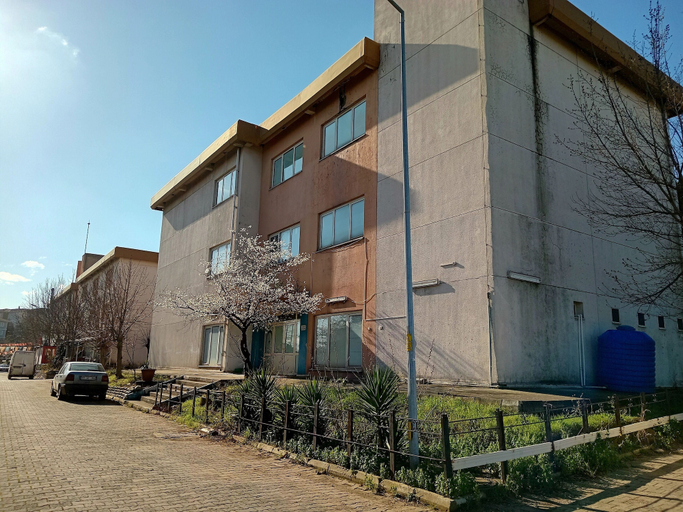 Primary image