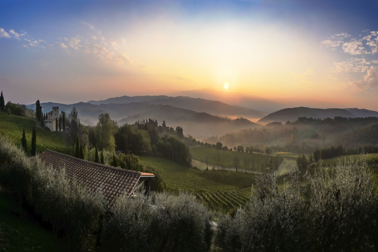 Aerial view, Chianti Classico Home Panoramic View, Siena
