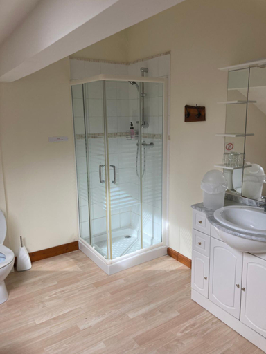 Bathroom 2, Le Chene Vert, Vienne