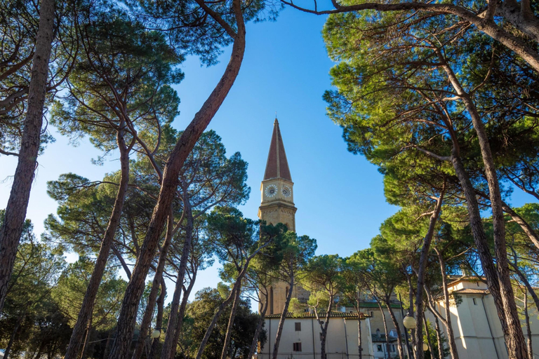 Others 3, Casale Tigli, Arezzo