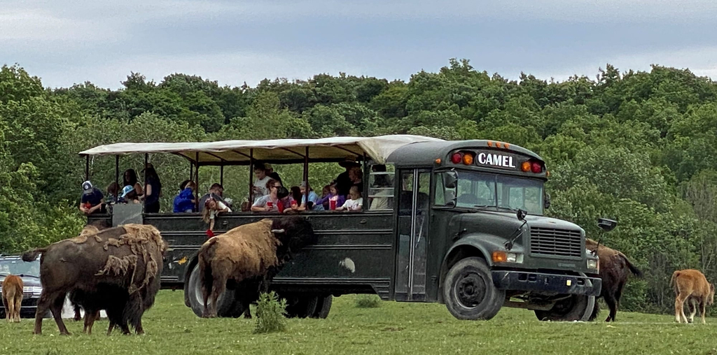 Miscellaneous 2, Hidden Valley Animal Adventure, Wyoming