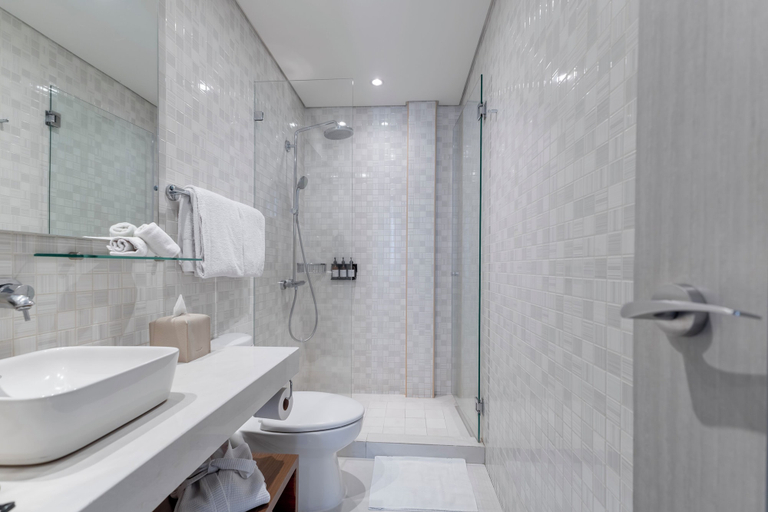 Bathroom 4, Stara San Angel Inn, Mexico City