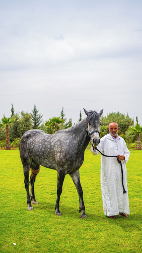 Miscellaneous 5, Igrane House, Al Haouz