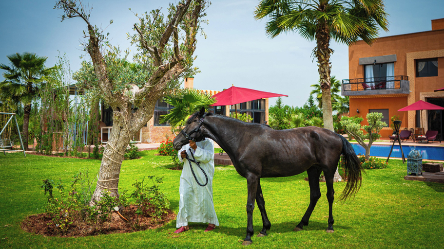 Miscellaneous 4, Igrane House, Al Haouz