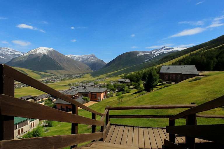 Exterior detail, Vista Livigno, Sondrio