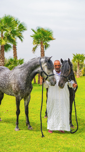 Miscellaneous 5, Igrane House - Resort & Spa, Al Haouz