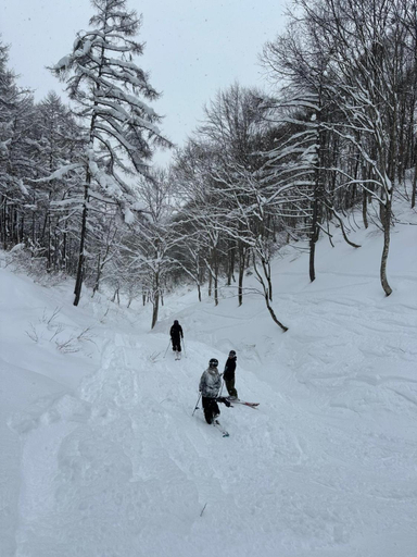 Others 5, Yamadasan Ski Lodge - Madarao, Myōkō