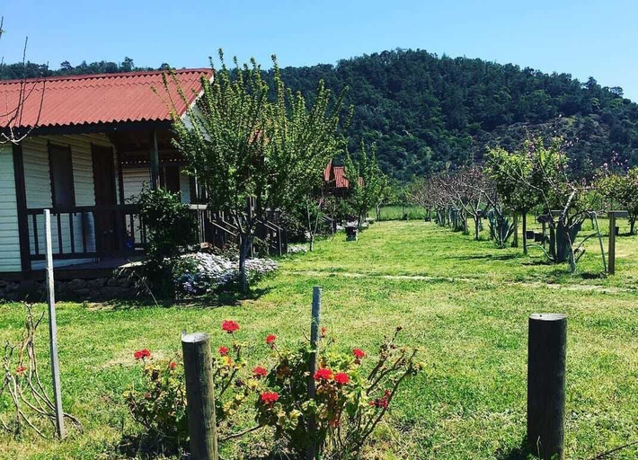 Property grounds 3, Fesleğenbükü Kamp, Milas