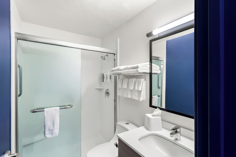 Bathroom 4, Spark by Hilton Beckley, Raleigh