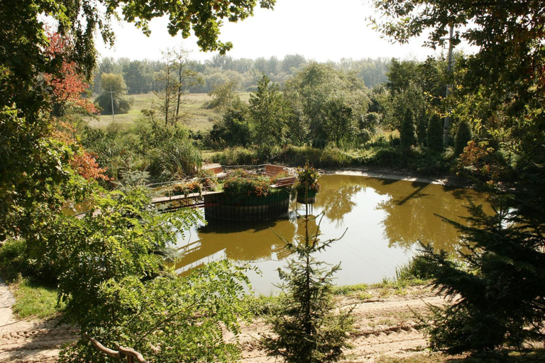Garden 5, Hotel Wisniewski, Kazimierza
