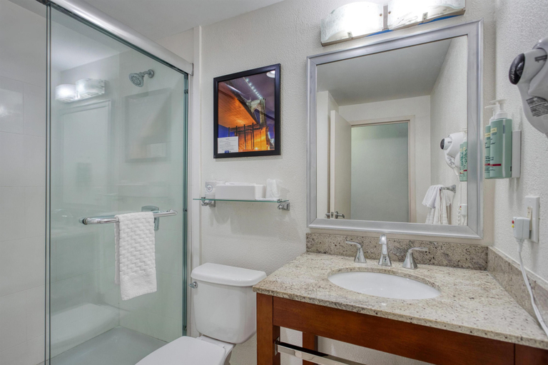Bathroom 4, Best Western Gregory Hotel, New York