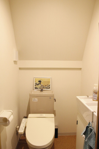 Bathroom 3, HAMA HILLS Shinjuku, Nakano City