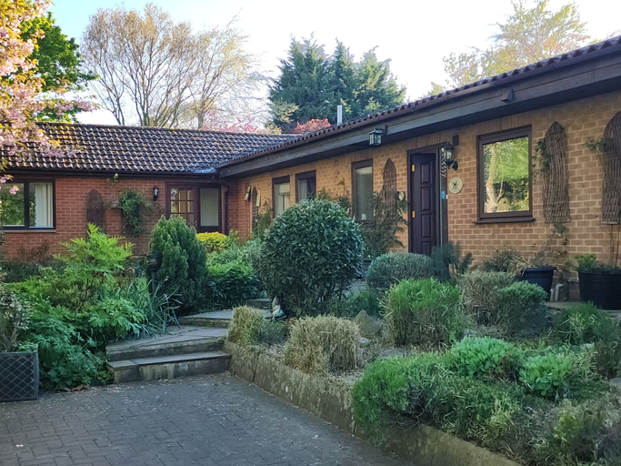 Primary image