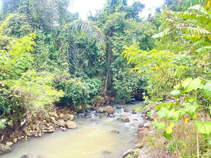 Front of property, MAXY Guest House, Tabanan
