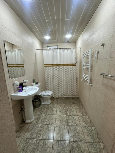 Bathroom, Red Family Hotel