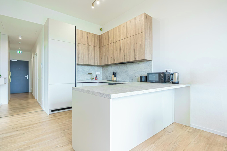 Private kitchen 4, Premium 2BR & 1LR Apt with Skyline View, Bratislava II