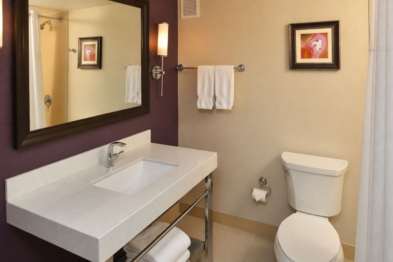 Bathroom 5, DoubleTree by Hilton Hotel Orlando East - UCF Area, Orange