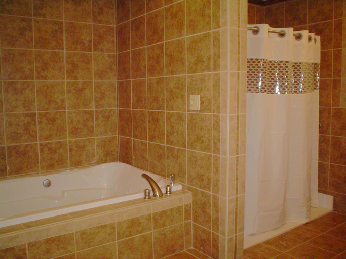 Bathroom, Hampton Inn & Suites Del Rio, Val Verde