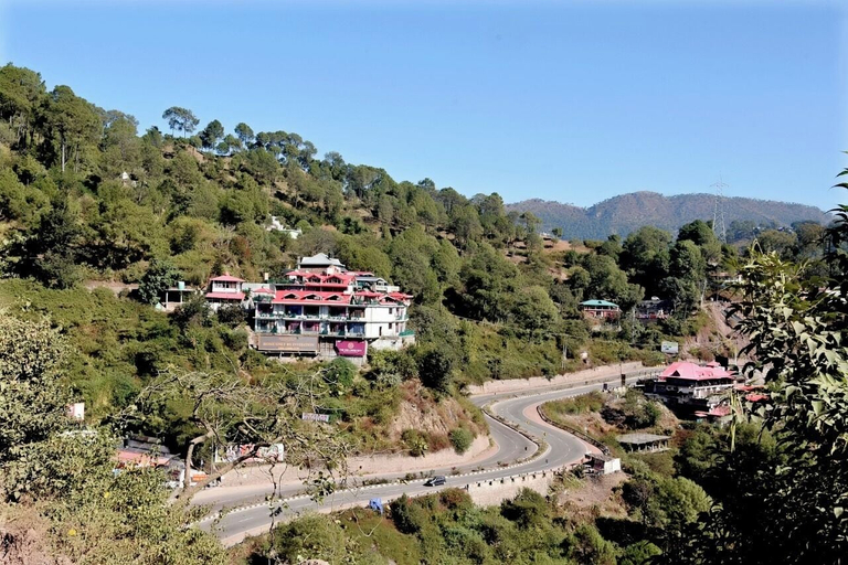 Others 5, Hotel Pine View Kasauli, Solan