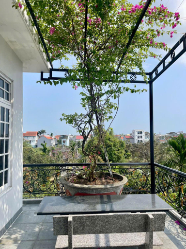 Others 4, Nhat Long Homestay, Huế
