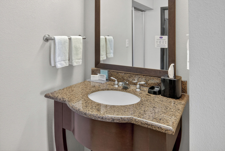 Bathroom 4, Hampton Inn & Suites Longview North, Gregg