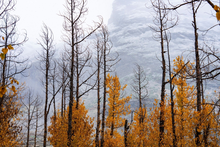 Miscellaneous 3, PACK Sissu, Lahul & Spiti