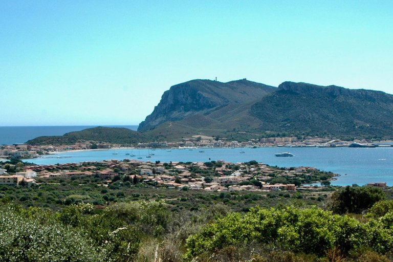 Exterior 2, Gli Allori, Olbia-Tempio