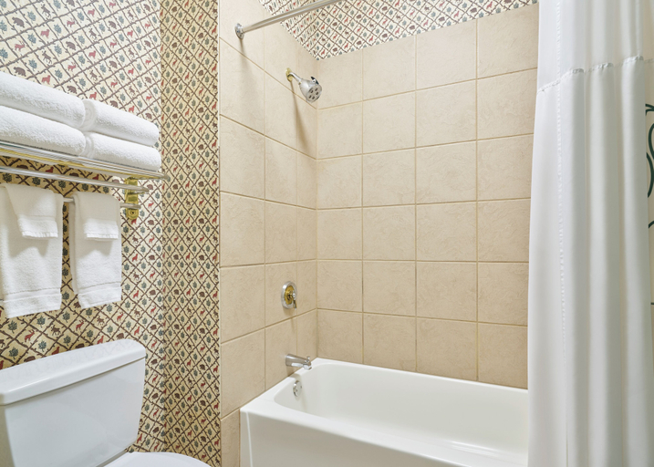 Bathroom 4, Great Wolf Lodge Traverse City, Grand Traverse