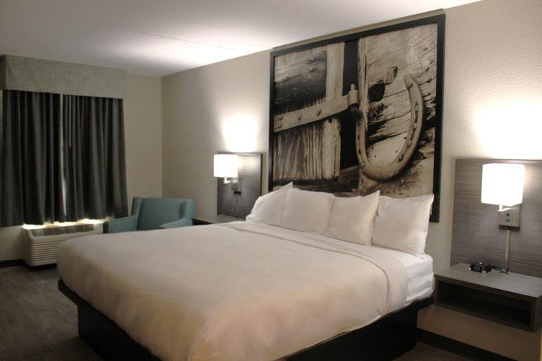 Room 3, Boarders Inn & Suites by Cobblestone Hotels - Lamar, Barton