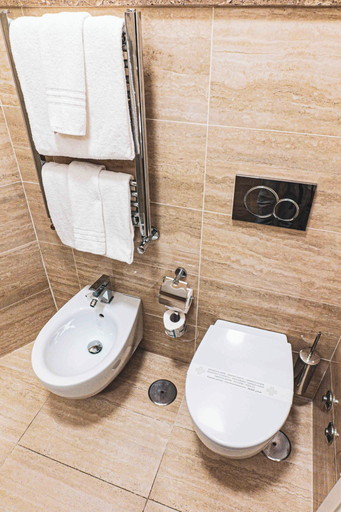 Bathroom 4, Hotel Fellini, Roma