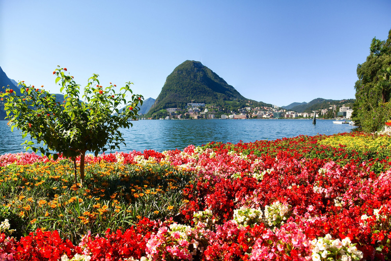 Others 2, Sunlight - 150m From the Lake, Lugano