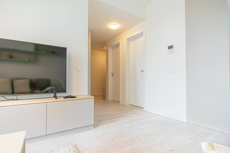 Private kitchen 2, 1BR Apartment Near Airport with Parking, Bratislava