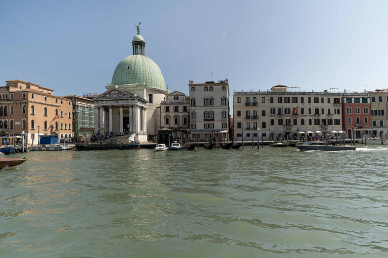 Room 2, Daisy Flowers by Wonderful Italy, Venezia