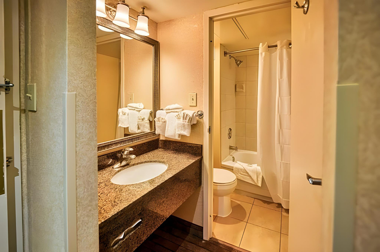 Bathroom 2, Amenida Residences, Division No. 6