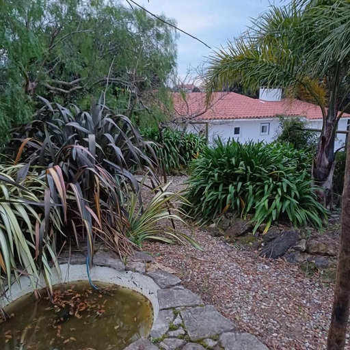 Property grounds, Quinta da Pêra rocha, Alcobaça
