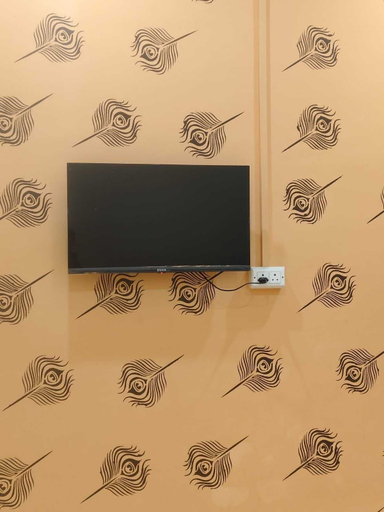 Television, Shree Rudraksha Home Stay, Varanasi