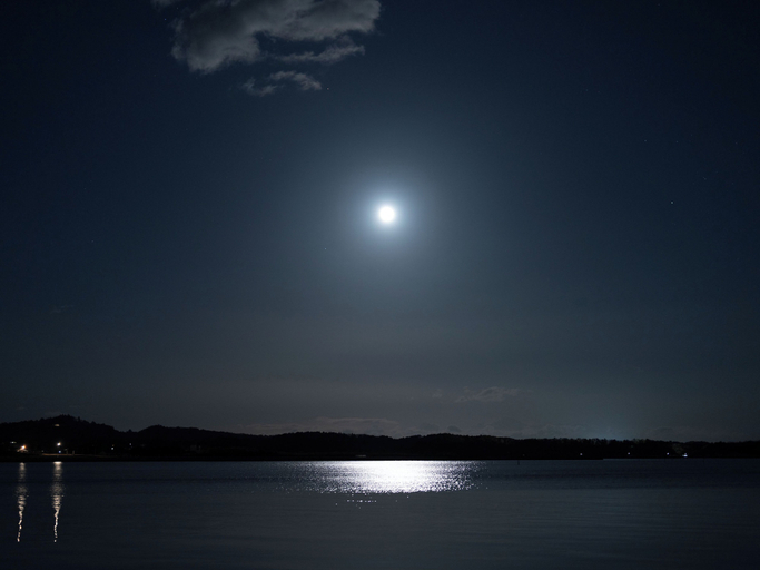 Miscellaneous 4, YOKI MATSUSHIMA, Matsushima
