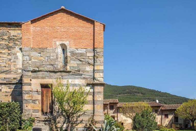Exterior 2, Borgo San Jacopo - Il Cipressino, Pisa