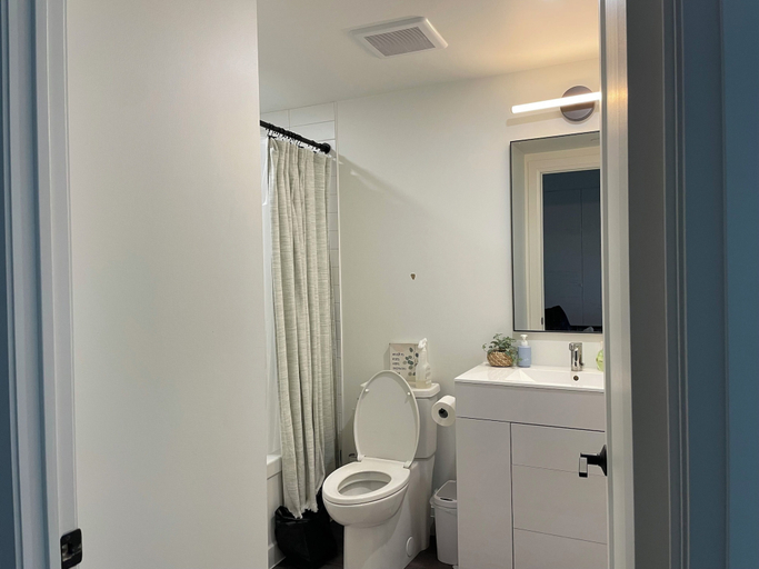 Bathroom 5, Madison & East 53rd, New York