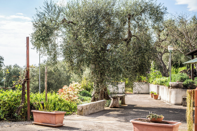 Garden, Da Donata - A Private Retreat Stay, Salerno