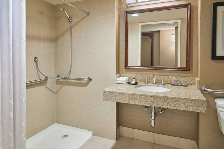 Bathroom 4, Wyndham Denver Tech Center, Arapahoe