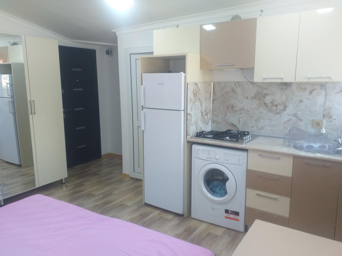 Others 5, Orkide, Şəki City