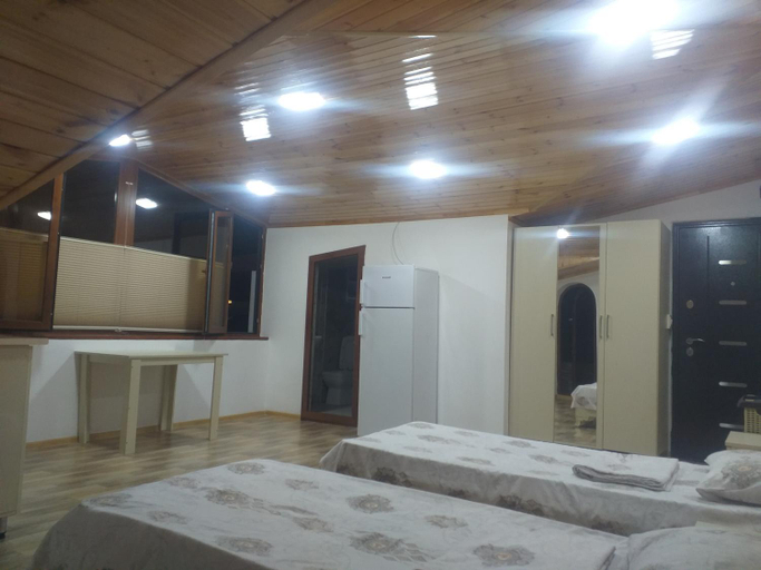 Others 2, Orkide, Şəki City