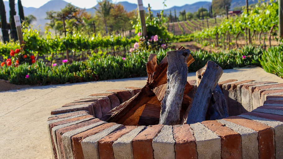 Exterior & Views 2, Rancho Los Retoños, Ensenada