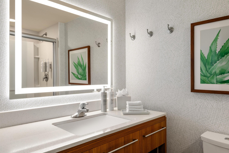 Bathroom 5, Home2 Suites by Hilton Farmington/Bloomfield, San Juan