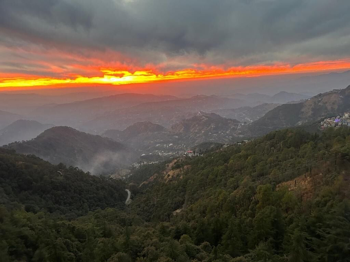 Others 5, Pine Ville Shimla, Shimla