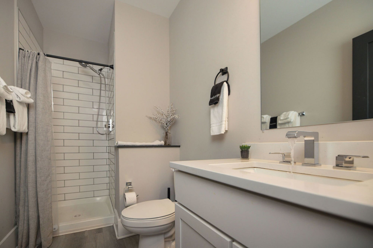 Bathroom 4, Three Trails Downtown Elkin, Surry